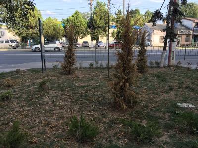 Прикрепленное изображение: IMG_1210.JPG